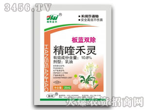 10.0%��୺��`-���{�p��