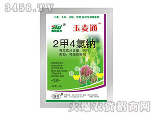 56%2��4���c-����ͨ