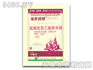 288g/���ȷ��������ᮐ����-���̤¡