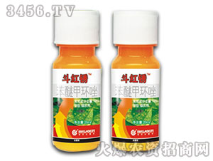 ��ِ��-���t�P