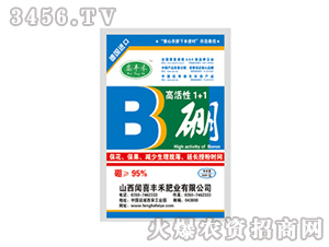 �߻���1+1��-�S�̷ʘI(y��)