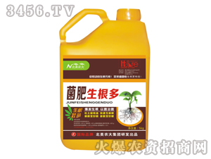 ���������ࣨ�_ʩ�ʣ�-�����r(n��ng)��