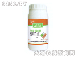 ���׶�����-�Ű�