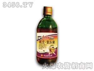 ��������(l��)��-͸��-�����r(n��ng)ˎ