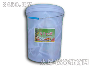 ���S�|̦��-�I(l��ng)���r(n��ng)�I(y��)