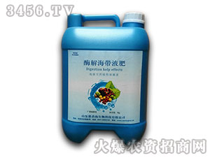 ø�⺣��Һ��-���㺣