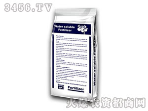 �M��ˮ�ܷ��{�������棩-���㺣