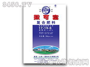 �ͺϷ���17-19-6-���ɸ�