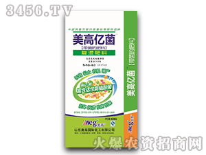 51%��(f��)�����17-17-17-���߃|��