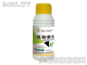 ֲ�ﵰ�ף��{(di��o)��(ji��)����-������� 