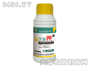 ȫЧ⛣��{(di��o)��(ji��)����-�������