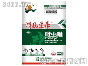 ���x��-��ʭͨ��-�����\