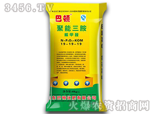 ����������(f��)�Ϸ���19-19-19-���D