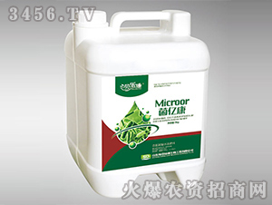 ���|��-ؐ����-��᷾G��