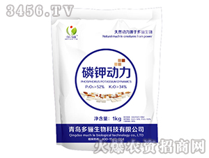 ��⛄�(d��ng)��-���P����