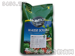 ԭ�b�M(j��n)��ˮ�ܷ�19-19-19+TE-����-�����r(n��ng)�I(y��)