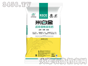 ����������{��-�װ׽�-����