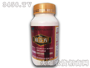 �ЙC(j��)���w��-������-�֠���(y��u)