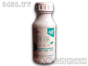 �w����B��-���S