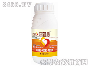 �~���-��ʡ��-���Ԫ