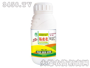 �~���-��ҹ�L(zh��ng)-���Ԫ