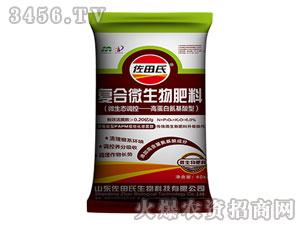 �ߵ��װ������͏ͺ�΢�����-������