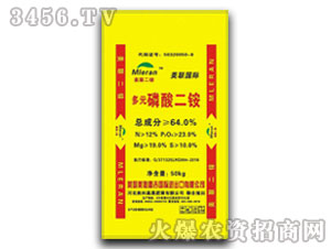 ��Ԫ���������-���Ƽ��r