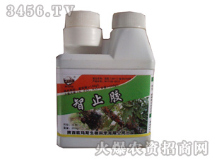 �J���Ҍ�(zhu��n)���{(di��o)��(ji��)��-��ֹ�z-�W��˹