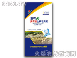 �S�����������÷�-����