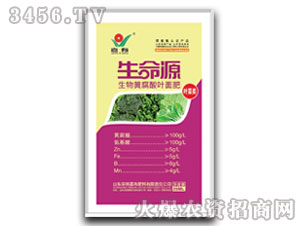 �~����S�����~���-����Դ-����