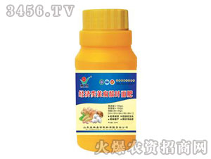 ��(j��ng)��(j��)��~���ƿ�b-����