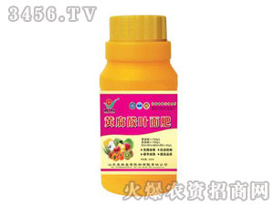 ͨ�����~���ƿ�b-����