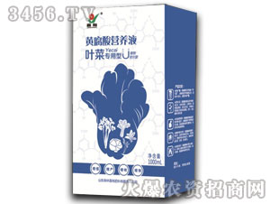 �~�ˌ�(zhu��n)���S����I(y��ng)�B(y��ng)Һ-����