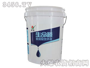 �S����I(y��ng)�B(y��ng)ҺͰ�b-����