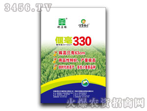 �Ⱥ�330С���N-���f��