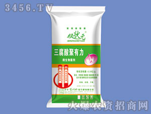 �����������΢�������-����Ԫ-��W(w��ng)(li��n)