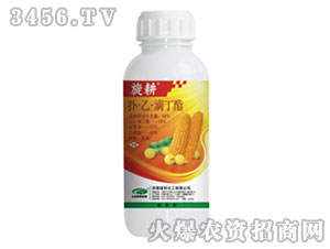 �䡤�ҡ��ζ���-����-�G��