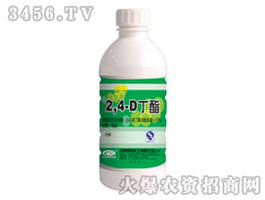 72%2,4�ζ���-�G��