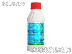 �ݸ�좮����@�}-���_(d��)-�G��