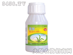 ��������݄�-�r(n��ng)��-�G��