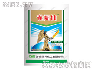 С������݄�-ȸ���-�G��