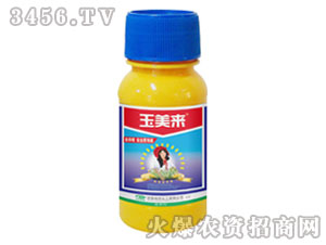 �����������݄�-��������-�G��