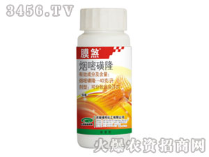 ���׻�¡-Ĥɷ-�G��