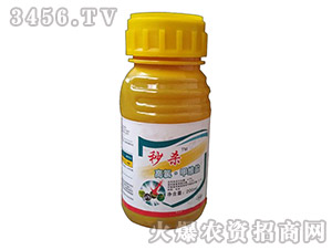 ���ȼ׾S�}-�뚢-�Z������