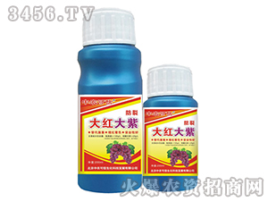 �~���-���Ѵ�t����-���r(n��ng)����