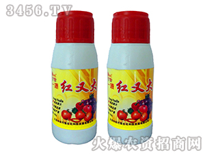 ����һ���t-���r(n��ng)���� 