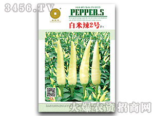 ������2̖F1-�����N��-ϲ���S-�A��N�I(y��)