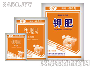 �ڵ���-⛷�