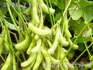 ����4̖(h��o)-��-�|�Ѻ�