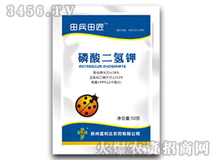 ��������-����ｳ-�����_(d��)